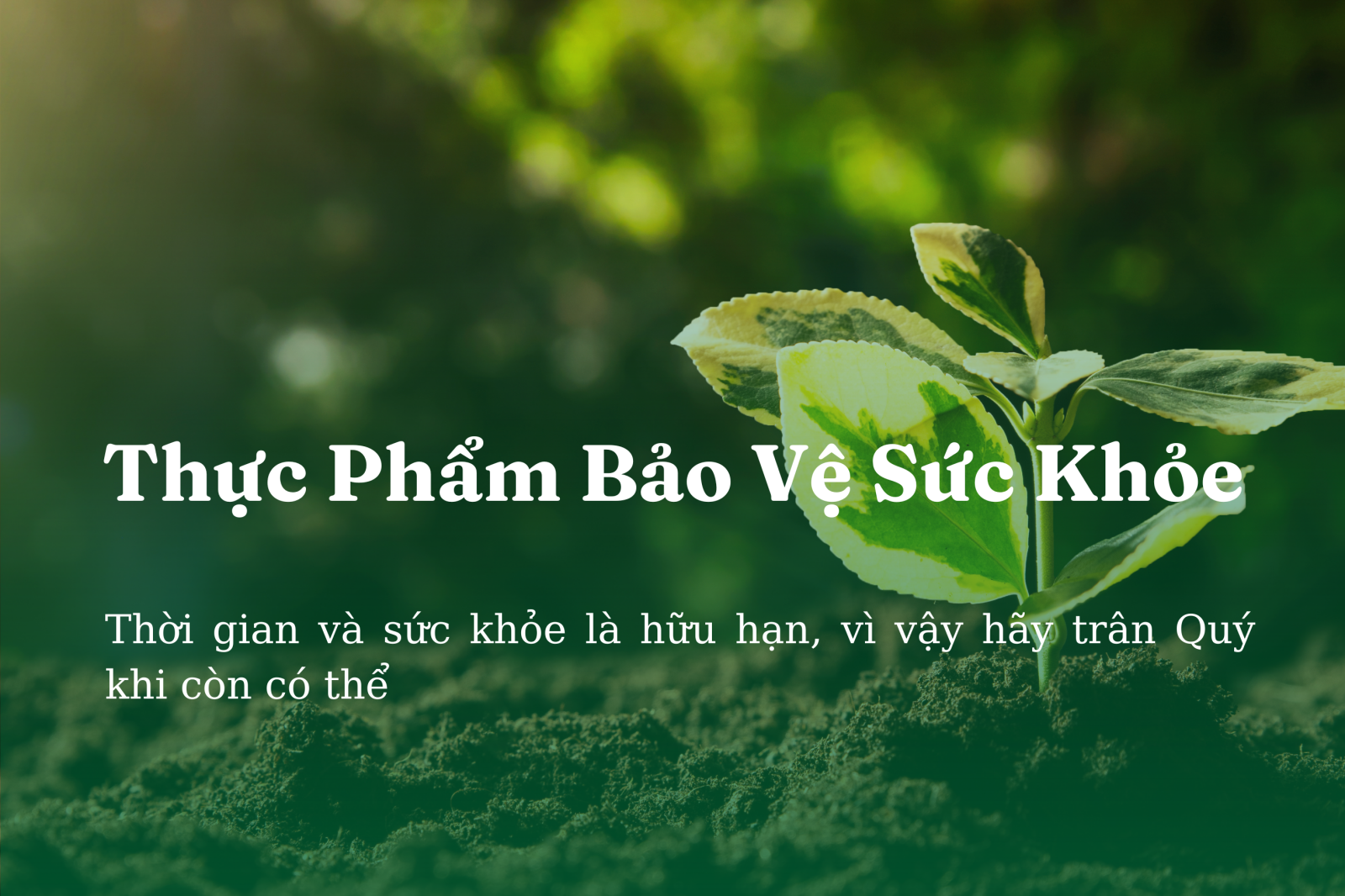 Thực phẩm Bảo vệ SK